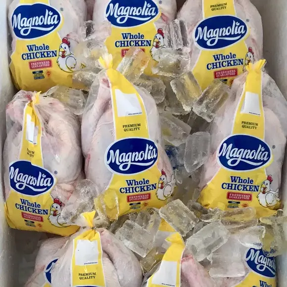 खरीद 800 ग्राम ताजा जमे हुए पूरे चिकन प्रीमियम ग्रेड/खरीदने के लिए सबसे अच्छा ब्रांड जमे हुए चिकन 2kg X 6 बैग, 12kg/Ctn