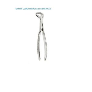 การสกัดคีมกรามล่าง75 - Product Image 4