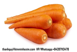 Cà rốt chất lượng tốt với giá cả hợp lý, cà rốt tươi sẵn sàng bán, xuất xứ Việt Nam - Product Image 2