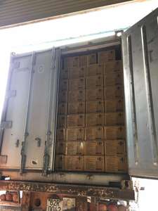 Caña de azúcar/vara de azúcar, alta calidad, (Sara + 84376540581) - Product Image 6