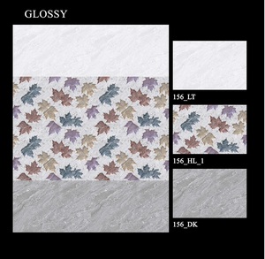 Fabricant de carreaux de céramique émaillée en Inde 30x45cm - Product Image 5