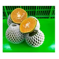 2021 Laris Kaya Vitamin Tropis Segar Jeruk Buah Matang King Orange dengan Rasa Manis Liar Baik untuk Kesehatan dan Kulit dari Vietnam