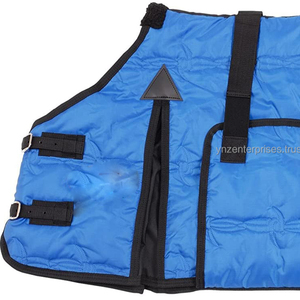 Alfombra de caballo de invierno increíble de diseñador, carcasa impermeable Ripstop con relleno de algodón, manta hecha de lona - Product Image 1