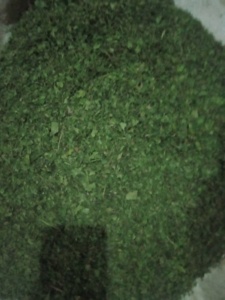 Fabricante Profesional al por Mayor Suministra Hojas Secas de Origanum Marjoram Mulukhiyah Tipo de Procesamiento Crudo Certificado ISO22000 - Product Image 2