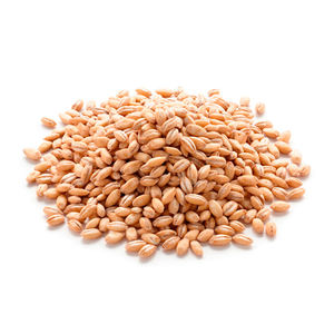 Mejor alimento, grano de cerveza, grano de cerveza Malt, casled - Product Image 2