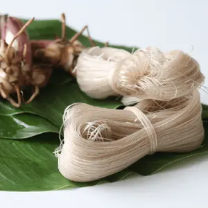 批发竹芋粉丝 | 亚洲食品 | 出口100% 块茎淀粉-埃丝特女士