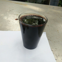 Huile de noix de cajou brute de haute qualité, liquide de coque de noix de cajou, exportation du Vietnam d'une société Standard, huile de noix de cajou de qualité supérieure