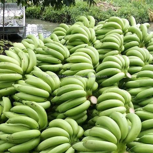 Compradores de Bananas frescas - Product Image 1
