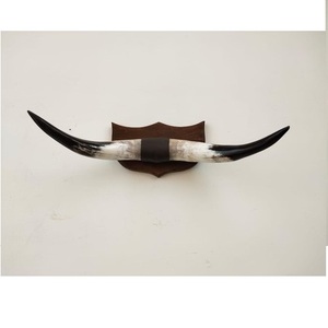 ฮอร์นหนังขัดธรรมชาติสำหรับตกแต่งบ้าน - Product Image 4