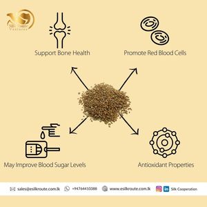 Hạt Giống Cần Tây Khô Các Loại Thảo Mộc Tươi Mới Nhất Hàng Mới Về Bán Trực Tiếp Từ Nhà Máy - Product Image 3