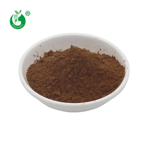 Nhà Máy bán hàng trực tiếp giá cả cạnh tranh flavonoid Bột Bồ Công Anh chiết xuất từ rễ - Product Image 3