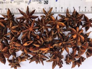 100% Pure Perfect Spices and Herbs Star Anise Star Aniseed Illicium Verum Star-shaped Pods High Quality / Shyn Tran +84382089109 - Product Image 4