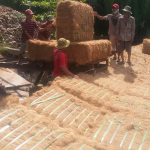 Natural coconut fiber machine/ coconut coir fiber