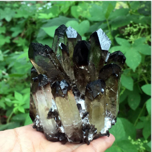 แสดงภาพ