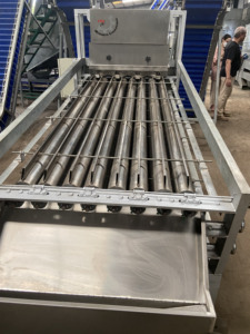 TTQ se spécialise dans les trieuses de noix de cajou de haute qualité Prix compétitifs pour les industries agricoles Usine vietnamienne directe - Product Image 5