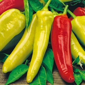 high quality natural dried red chili pepper with per ton price