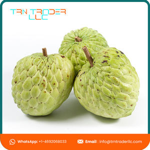 Nueva Temporada 2021, Manzanas Dulces Orgánicas Naturales, Frescas, de Primera Calidad, Disponibles para Exportación - Product Image 2