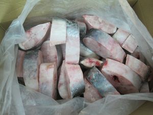 Carne de Pangasius de Frozen de Vietnam, contacto con Whatsapp, 84, 388, 130, 303, precio competitivo - Product Image 6