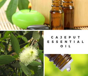 Australie Cajeput & Tea Tree Huile Essentielle Pure OEM/ODM Aromathérapie 20ml pour Diffuseur Humidificateur - Product Image 4