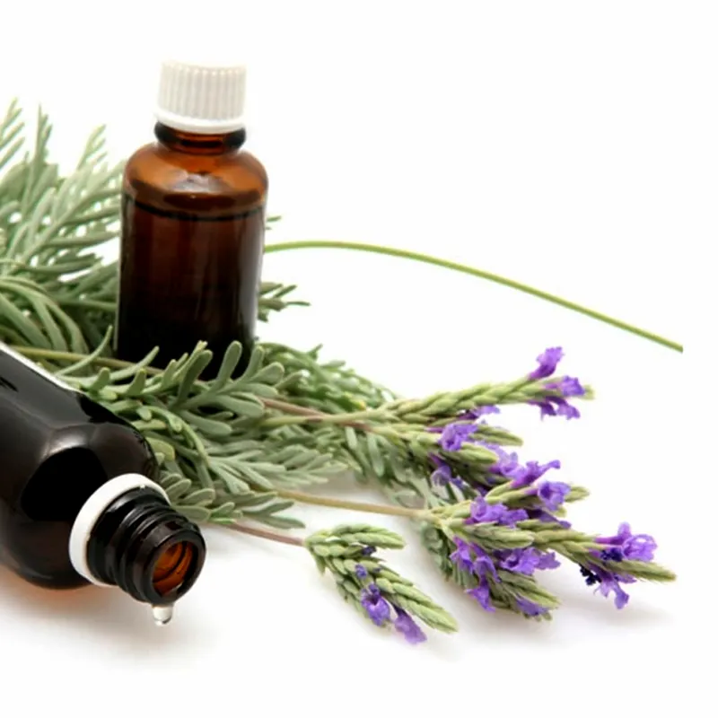 Manufacturer Supply 100% Natural Lavender Essential for Perfume Making at Competitive Price in India US UK UAE Europe