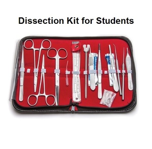 เครื่องมือสัตวแพทย์ชุดกีฏวิทยาและชุดผ่าสำหรับนักเรียนที่ทำจากสแตนเลสคุณภาพเยอรมัน - Product Image 2