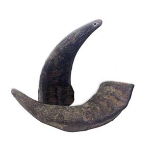 Buffle Paire Corne Artisanat Hôtel Décoratif Meilleur Design pour Naturel et Poli pour la Vente - Product Image 5