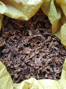 ดอกลีลาวดีแห้ง/ดอกลีลาวดีอัลบ้า/Apocynaceae/ - Product Image 2