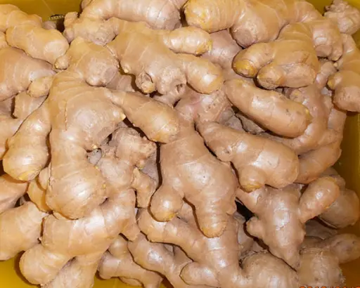 Органический свежий имбирь оптом