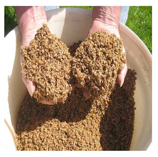 Brewers secos de grano para ganado, ingredientes nutritivos, Comida alta en proteínas y fibra, venta al por mayor