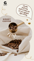 Café Arabica torréfié S16, torréfaction à la demande, origine unique Vietnam, Gaia Caf, certifié HACCP, sacs PET de 1 kg, prêt à être expédié