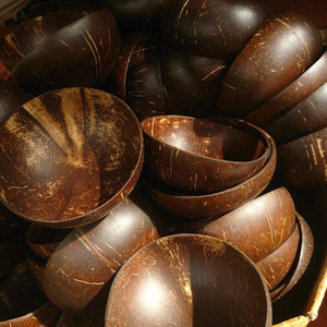 100% bol de coquille de noix de coco naturelle accessoire de barre de matériau PC jetable écologique de l'usine du Vietnam - Product Image 1