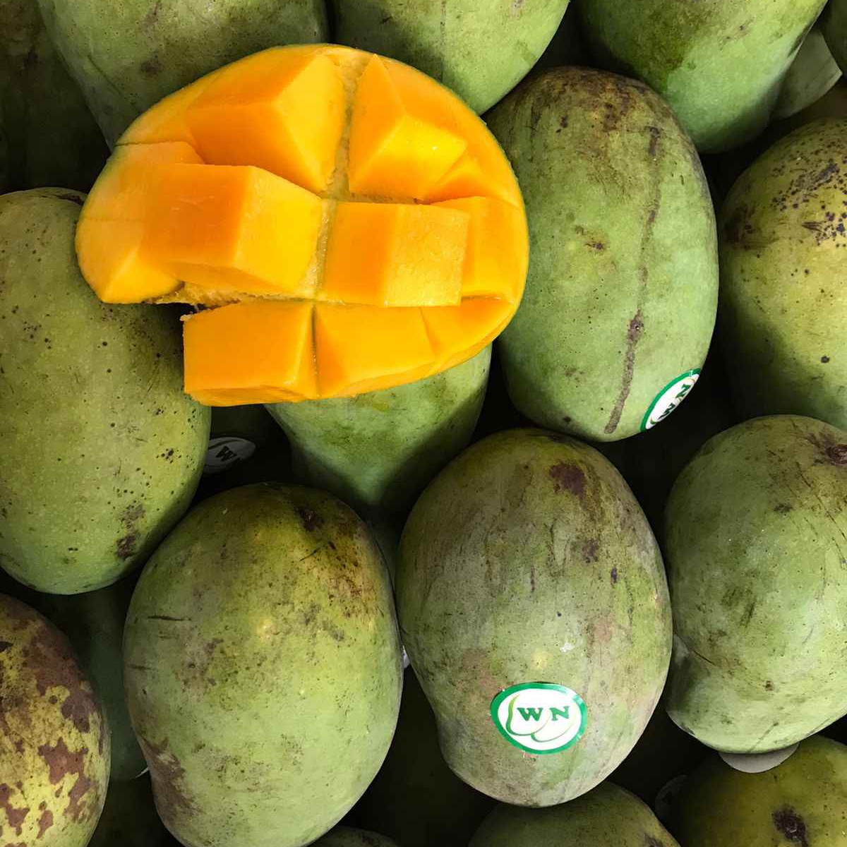 Свежие манго лучшего качества, готовые к продаже