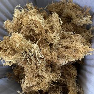 Gaufrage de haute qualité pour la fabrication de gel Viet van-george + 84 33 727 9933, 10 pièces - Product Image 1