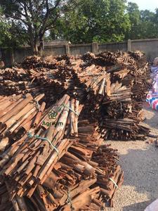 อบเชยแท่งคุณภาพสูงสุด ได้รับการรับรองมาตรฐาน ISO/HACCP จาก Agrikim เวียดนาม ผลิตจากวัตถุดิบอบเชยแท้ ผ่านกระบวนการอบแห้งที่ดีที่สุด (AD) - Product Image 5