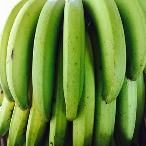 Best Quality <b>Fresh</b> Green Cavendish <b>Banana</b>/ <b>Fresh</b> <b>Banana</b> Prices - Product Image 3
