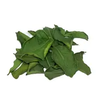 सूखे Kaffir चूना वियतनाम से 100% प्राकृतिक नींबू पत्ती पत्तियां