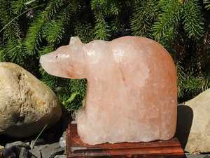 Lampe de sel rose en forme d'ours en matériau organique sculpté, décoration florale pour la maison, marque NSLT, NSLT-164, avec variateur de lumière et cordon. - Product Image 4