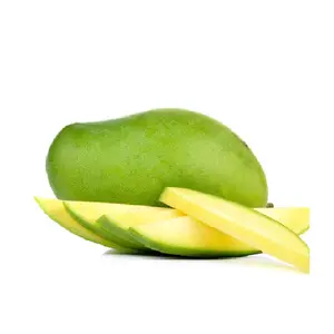 Top empfehlen frische grüne Mango bereit für den Export grüne Farbe gemeinsame Kultivierung sart süßer Geschmack Mango Export aus Bangladesch