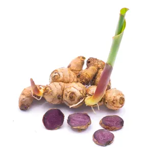 Organic Kaempferia Parviflora (Kunyit Hitam) Herbal Extract Black Ginger Powder for Body Health Helps Boost Body Reduce Redness