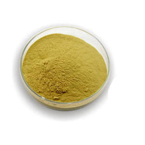 Extracto de Berberis Aristata en Polvo, Berberina HCL 98%, Clorhidrato de Berberina - Product Image 1