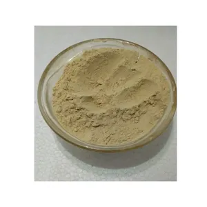 Bulk Quantity Supply High Quality Best Selling Natural and 100% Pure Piperine (Black Pepper) Extract Powder