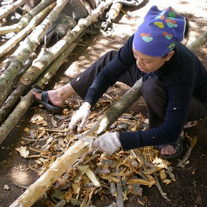 ผงจoss สำหรับธูปคุณภาพสูง ผลิตในเวียดนาม ขนาดตามสั่ง ราคาถูกมาก // ชิน ทราน - Product Image 5