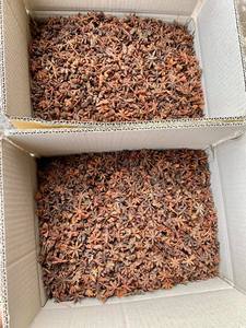 Graines d'anis étoilé séchées de qualité supérieure du Vietnam, prix avantageux, printemps/automne - Product Image 6