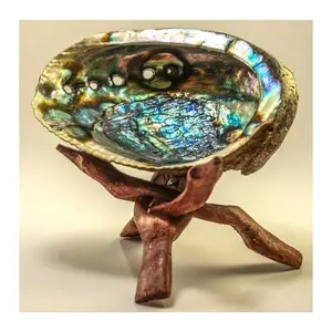 Abalone Shell From Vietnam Sea For Making Jewelry Accessories