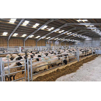 Abri préfabriqué pour l'élevage des moutons et des chèvres