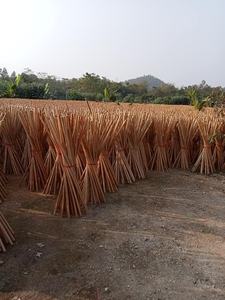 Nouvelles manches de balai en bois avec brosses personnalisables en PVC verni, usage domestique, toutes saisons, prix abordable - Product Image 6