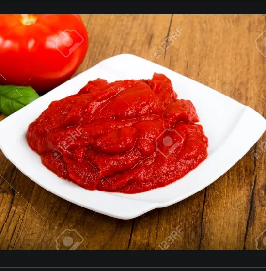 Pâte de tomate en conserve, Ketchup et Sauce séchés à base de 100% produits frais, 400g