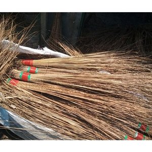 โคโคนัทมะพร้าวไม้กวาดSticksจากเวียดนาม (Lee Tran (+ 84987731263) - Product Image 6