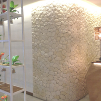 Piedra Natural de Scoria Blanca, Antideslizante, Resistente al Desgaste, para Bordes y Azulejos Exteriores, Estilo Tropical para Villas