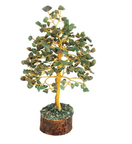 แสดงภาพ